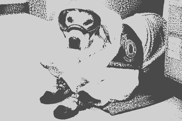 I have no idea what I am doing.